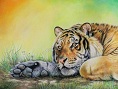 Colorare una Tigre con le Matite Colorate